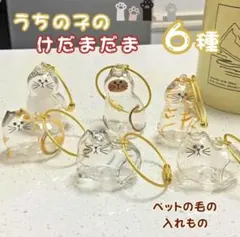 【6個セット】猫 キーホルダー メモリアル 毛入れ ペット遺毛ケース ねこ 透明