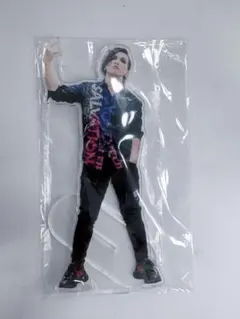 タラチオ 実写アクリルスタンド ﾀﾗﾁｵアクリルスタンド（大） - ﾀﾗﾁｵのグッズ（新） - BOOTH