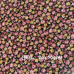 Item thumbnail for item 403c9115-dcba-4014-94f9-2acf7ef40a43