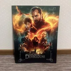 ファンタスティックビーストとダンブルドアの秘密パンフレット ファンタスティック・ビーストとダンブルドアの秘密 - 映画