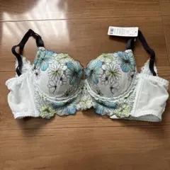 HEAVEN Japan ブラジャー D70