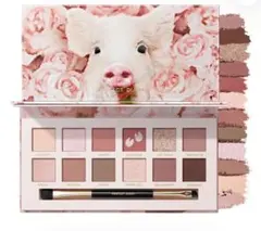 パーフェクトダイアリー エクスプローラ　12色アイシャドウパレット ローズピンク