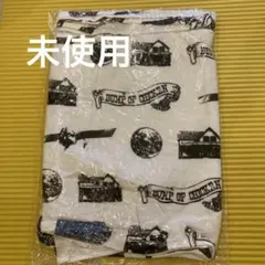 2026年最新】BUMP OF CHICKEN 2008 タオルの人気アイテム - メルカリ