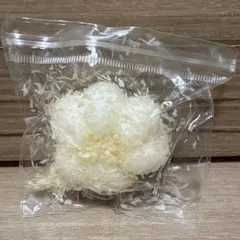 肉球　サクサク　牛乳