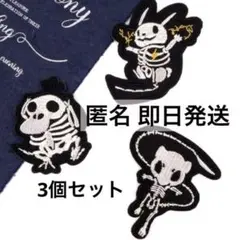 ポケモン 刺繍 ワッペン ピカチュウ ミュウ コダック 骸骨 ドクロ 送料無料