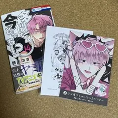 多聞くん今どっち!? 14巻　ボイスカード　特典ペーパー　応募券　付き