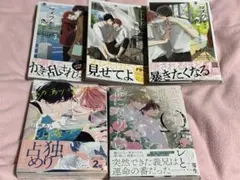 BL漫画まとめ売り（バラ売り可）