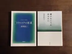 Item thumbnail for item a3307204-3ce9-4e5a-b6c4-5d7ae14579e9