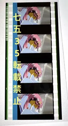 ガンダムSEED FREEDOM フィルム　ラクス　フリーダム　特典　種フリ