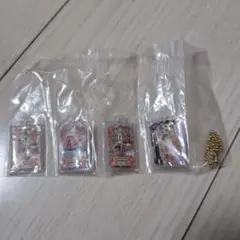 アイカツ！カードチャーム（スリーピングオーロラコーデ）