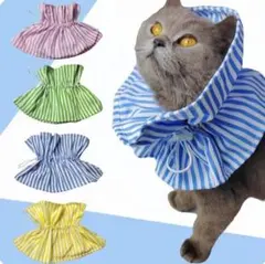 Item thumbnail for item 169217f2-c690-4a46-a295-74430dc30a8e