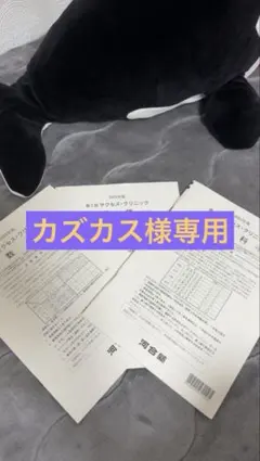2026年最新】サクセスクリニック第2回の人気アイテム - メルカリ