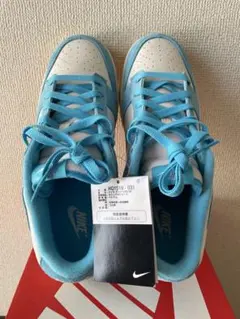 NIKE ダンクロー　HQ1519-031 新品　28.5cm