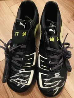 Item thumbnail for item a42105a9-d586-47dd-862b-9e708a5c00f5