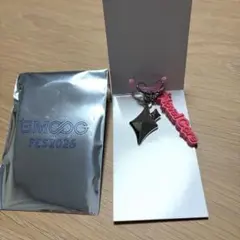 BMSG FES'26 ランダム マーカーチャーム Novel Core