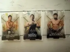 Item thumbnail for item a4f1cdd6-f91c-4485-a4b2-a93d8bc91fba