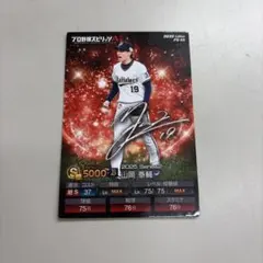 山岡 泰輔　カード　ポテトチップス プロ野球スピリッツＡ　プロスピチップス