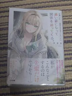 学園一かわいい後輩の命の恩人になったら、通い妻になって関係を迫ってくる。　ラノベ