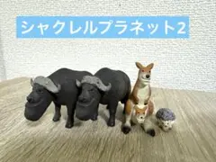 Item thumbnail for item 9bbcae06-cf16-482d-8019-cdb738283be7