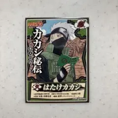 NARUTO はたけカカシ 特典 イラストカード