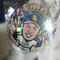 若鷹ガチャ 柳田