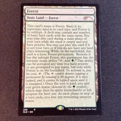 MTG森/Forest(258)１枚