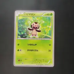 ポケカ　ハリマロン　プロモ　１枚　P1077のサムネイル