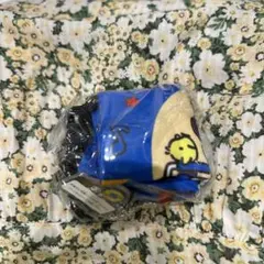 かぷえぼ　ボトルケース　ポチャッコ