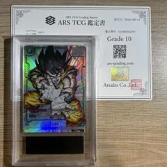 ARS10】孫悟空 FB05-053 フュージョンワールド 鑑定書付き - メルカリ