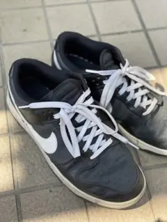 NIKE Dunk Low Retro ブラックパンダ
