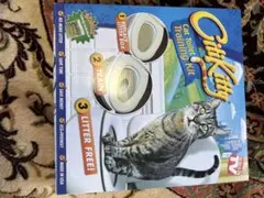 Item thumbnail for item 822f3cd4-9a1e-4960-8945-8862bb4428c3