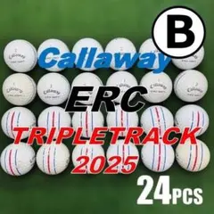 S127】キャロウェイ ERC トリプルトラック23年黄 ロストボール 24球