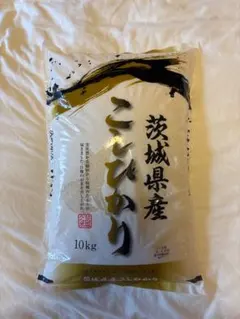 小田北条産こしひかり 5kg ×2袋令和7年産 - メルカリ
