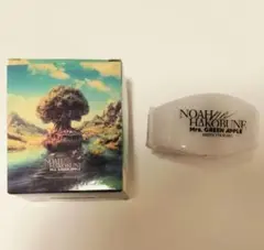 ミセス　ノア ライトバンド 2023