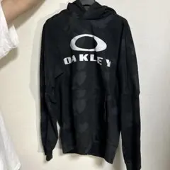 Item thumbnail for item a9b529b5-1e33-47b8-9f71-baa154d03dd6