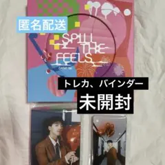 SEVENTEEN ディノ SPILL THE FEELS カラット盤 トレカ