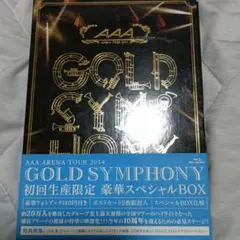 AAA/AAA ARENA TOUR 2014-Gold Symphony - メルカリ
