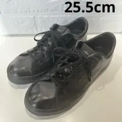 25cm スニーカー