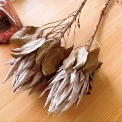 春の花材セット・ウッドローズ枝付き・アサガオ ドライフラワー・花材・茶色の花材 春の花材セット・ウッドローズ・アサガオ ドライフラワー・花材・茶色