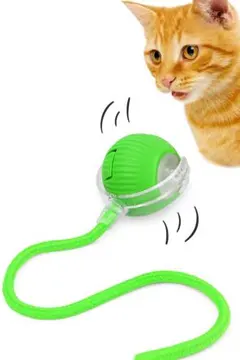 Item thumbnail for item 0bd240fa-f27c-4f81-ac0d-98e4f3493ae7