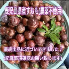 41 鹿児島県産すもも　3キロのサムネイル