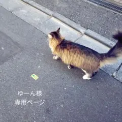 ゆーん様専用ページ　10cmぬい服 12cmぬい服