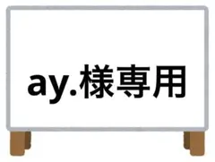 ay.様2点おまとめ