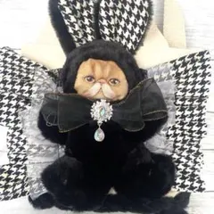 コヤンイサムチョン　トートバッグ　帆布　フリル　ポケットいっぱい