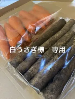 白うさぎ様　専用