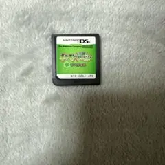 ポケモン不思議のダンジョン 空の探検隊 ソフトのみ