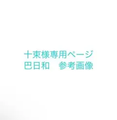 参考画像