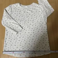 Item thumbnail for item 6b2df707-66fd-48be-b538-6d71db478991