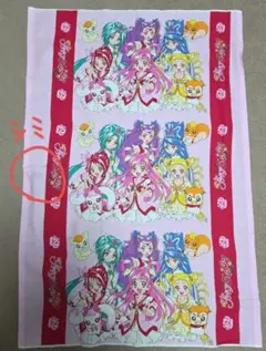 yes！プリキュア5 GoGo！ 生地 難アリ
