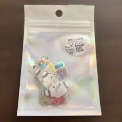 新品　ハローキティ フレークシール オーロラ ホログラム　サンリオ　ウサハナ